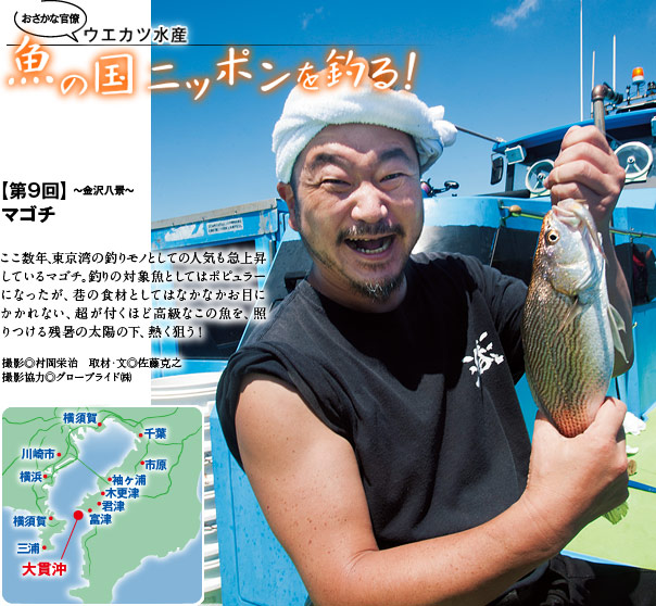 魚の国ニッポンを釣る！